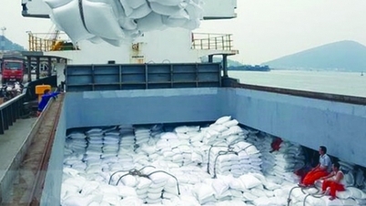 Cơ hội cho Việt Nam khi Indonesia nhập thêm 1,6 triệu tấn gạo