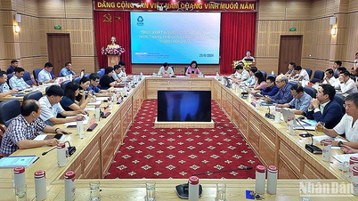 Khắc phục tình trạng "mạnh ai nấy làm" trong truy xuất nguồn gốc nông sản