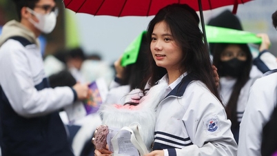 Tỉnh nào có tỉ lệ thí sinh học đại học cao nhất?