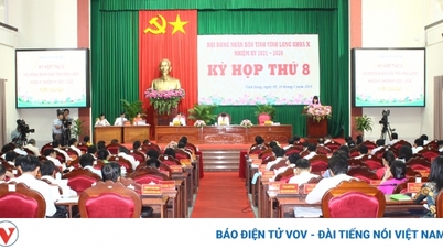 Vĩnh Long giảm 5 đơn vị hành chính cấp xã sau sáp nhập