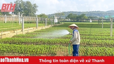 Protecting crops in hot weather