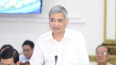 Đơn hàng xuất khẩu nhúc nhích, hoàn thuế, thủ tục đất đai vẫn đứng yên