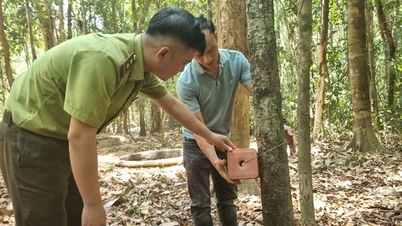 Xây bể chứa nước, bổ sung muối khoáng 'chống khát' cho thú rừng