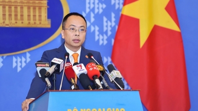 Separate reports of UN agencies in Vietnam under the Universal Periodic Review (UPR) cycle IV contain many false contents.