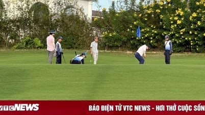 Cho thôi chức Giám đốc Sở NN&PTNT Bắc Ninh chơi golf trong giờ hành chính