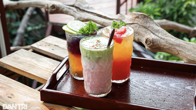 ហាងកាហ្វេទំហំ 1,600 ម 2 ប្រៀបដូចជាព្រៃត្រូពិចនៅចំកណ្តាលទីក្រុងហាណូយ។