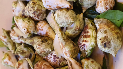 Ốc nhảy nướng mọi