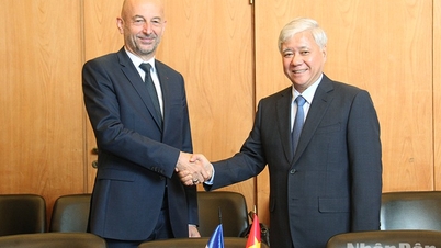 Promoting Vietnam - France cooperation and friendship