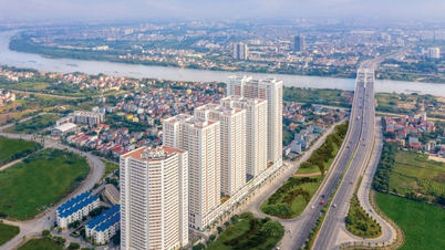 “Reading” the housing needs of young families
