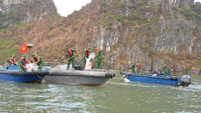 Quang Ninh ខិតខំប្រមូលសំរាមនៅឈូងសមុទ្រ Ha Long