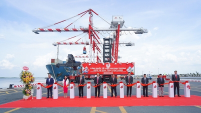 Cảng quốc tế Long An hợp long 7 cầu cảng