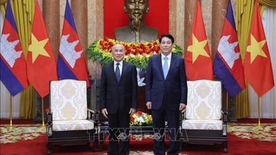 លោកប្រធាន ហ្លួង គួង ចូលគាល់ព្រះមហាក្សត្រកម្ពុជា។