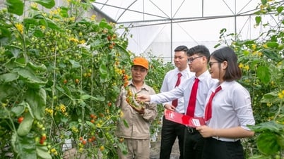 Agribank tích cực thực hiện chương trình hành động về tăng trưởng xanh, chống biến đổi khí hậu