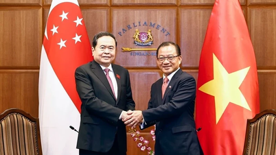 Nuevo impulso para el desarrollo de las relaciones entre Vietnam, Singapur y Japón