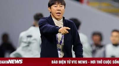 Chuyên gia: HLV Shin Tae-yong hiếu thắng khiến tuyển Indonesia thất bại