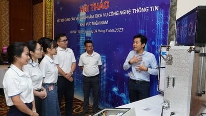 Ba Ria - Vung Tau aims to have 400 digital technology enterprises by 2030
