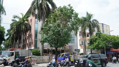 Cưỡng chế thi hành án Bệnh viện Anh Minh