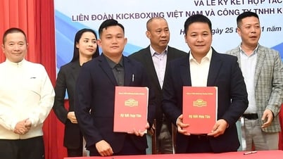 Liên đoàn Kickboxing Việt Nam nhận khoản đầu tư 1,5 tỉ đồng