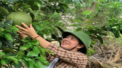 Khanh Hoa ជំរុញទំនាក់ទំនងផលិតកម្មកសិកម្មនៅតំបន់ជនជាតិភាគតិច