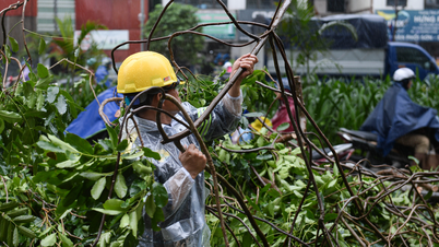 Elitetruppen von Ho-Chi-Minh-Stadt trotzten dem strömenden Regen, um Bäume in Hanoi zu säubern