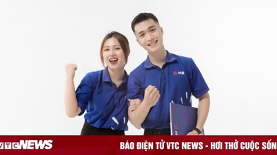 Doanh nghiệp đang phát triển nhân tài thế nào?