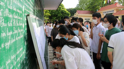Hà Nội: Công bố danh sách 201 điểm thi lớp 10 công lập không chuyên
