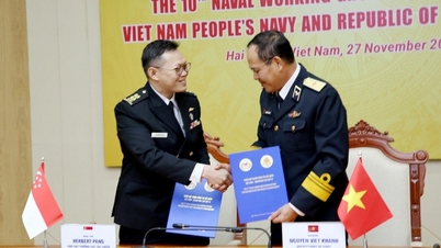 The 10th Vietnam-Singapore Navy Working Group Meeting