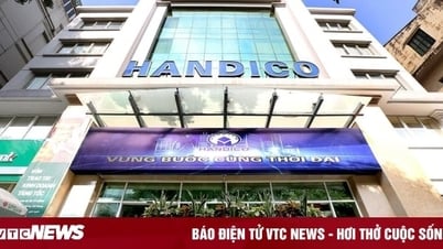 Tập đoàn EVN, Công ty Handico vào danh sách thanh tra của Bộ Xây dựng
