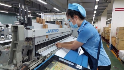 Southeast Asian factories expect a good year