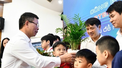 נושא VSAR 2024 קשור להגנת הסביבה