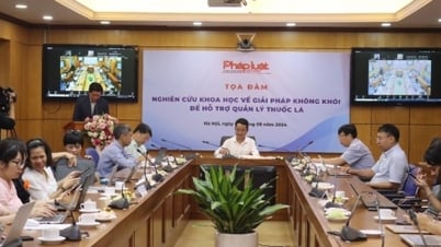 ស្វែងយល់ពីផលប៉ះពាល់នៃបារីជំនាន់ថ្មី។