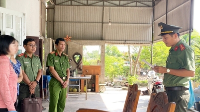 Quảng Ngãi: Khởi tố một người phụ nữ dùng bằng giả để dự thi viên chức