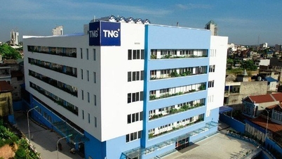 Đầu tư và Thương mại TNG bị xử phạt 130 triệu đồng