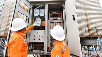 Transparency of production costs under pressure to adjust electricity prices