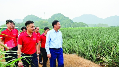 ដើមទុន Agribank ជួយអាជីវកម្មឈានដល់កម្រិតអន្តរជាតិ
