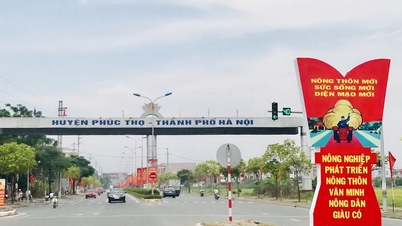 6 tháng năm 2024, thu ngân sách đạt hơn 723 tỷ đồng