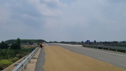 Slow land clearance, Kon Tum officials will be transferred to other jobs