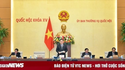 Thường vụ Quốc hội cho ý kiến về dự thảo Luật Phòng, chống mua bán người sửa đổi