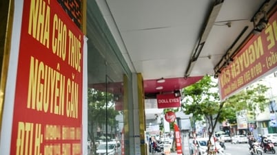 A series of "golden land" plots in the center of Da Nang have been unsold and left empty for a long time.