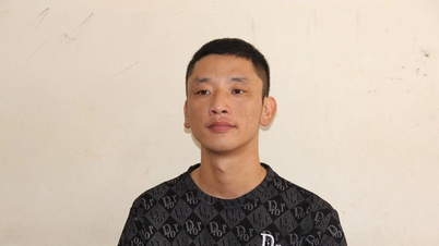 មនុស្ស ៤ នាក់​ធ្លាក់​ក្នុង​អន្ទាក់​ការងារ ករណី​មួយ​បាត់​បង់​ប្រាក់​លោះ​រាប់​រយ​លាន​ដុង