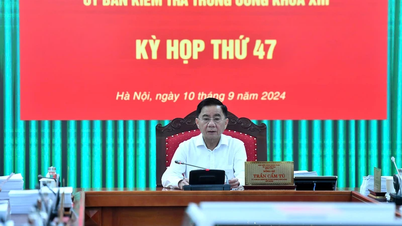 Proposal to consider and discipline the Standing Committee of the Provincial Party Committee of Ha Giang, Quang Ngai and comrade Dang Quoc Khanh