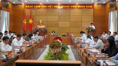 Thường trực Ban Bí thư Trương Thị Mai làm việc với Ban Thường vụ Tỉnh ủy Đồng Tháp