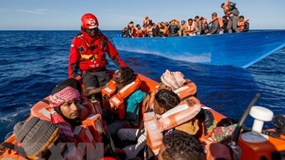 UAE pledges support to countries affected by illegal migration