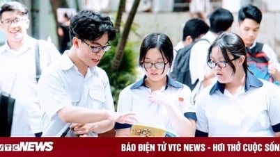 정보기술에서 어떤 전공을 선택해야 할까요?