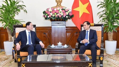 Việt Nam - Trung Quốc trao đổi thực chất về biên giới lãnh thổ