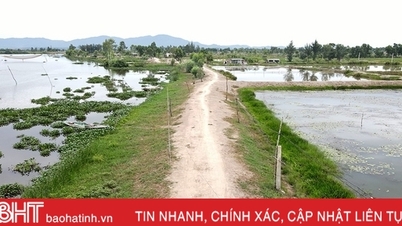 ទំនប់​វារីវប្បកម្ម ថាច់ ហា ព្រួយ​បារម្ភ​ពី​រដូវ​ទឹក​ជំនន់