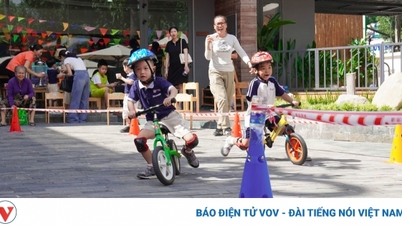 New Land Law will help socialized education in Binh Duong "blossom"