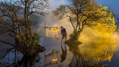Mangrove forests in Hue turn golden yellow, as beautiful as in Europe
