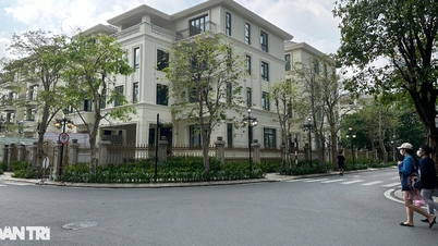 Why are villa and townhouse prices in Ho Chi Minh City higher than in Hanoi?