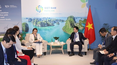IUCN mong muốn đẩy mạnh hợp tác về môi trường, khí hậu và tài nguyên nước
